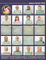 2013 Annual Report